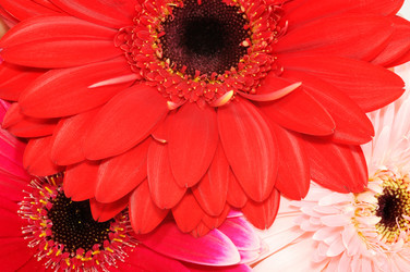 Similar image 877947