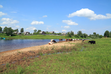 Similar image 877949