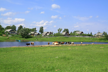 Similar image 877948