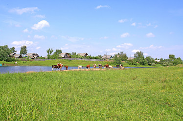 Similar image 877954