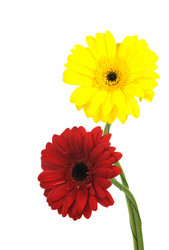 Similar image 877958