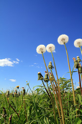 Similar image 877960