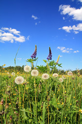 Similar image 877964