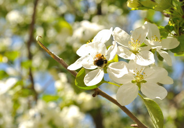 Similar image 877965