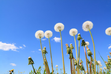 Similar image 877968