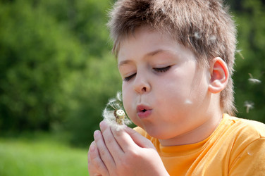 Similar image 877977