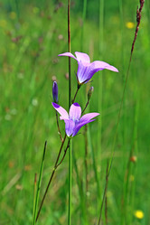 Similar image 877987