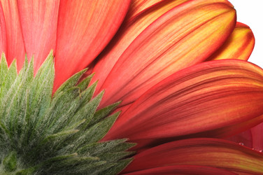 Similar image 877995