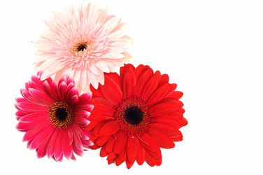 Similar image 877996