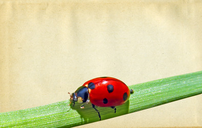 Similar image 877998