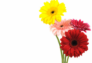 Similar image 878001