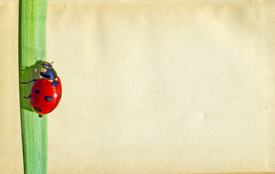 Similar image 878007