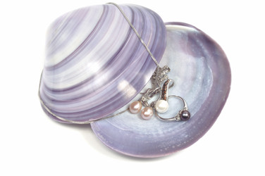 Similar image 878008