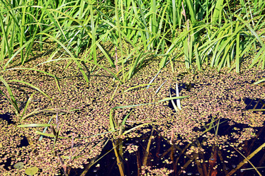 Similar image 878014