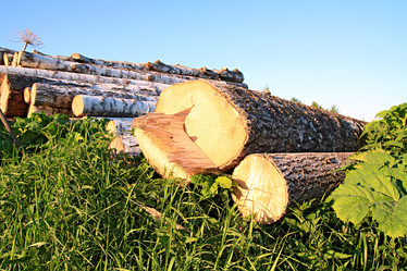 Similar image 878020