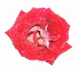 Similar image 878047