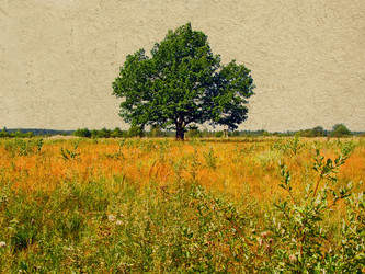 Similar image 878070