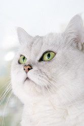 Similar image 878099