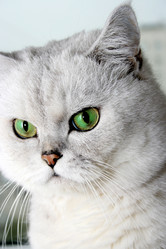 Similar image 878100