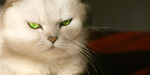 Similar image 878102