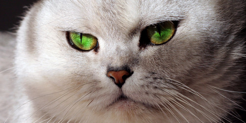 Similar image 878103