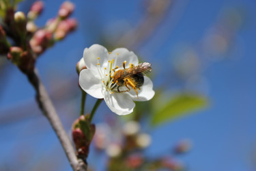 Similar image 878169