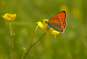 Similar image 878173