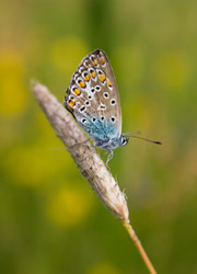 Similar image 878175