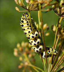 Similar image 878177