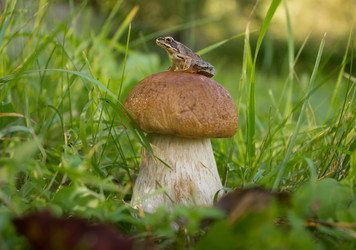 Similar image 878182