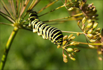 Similar image 878183