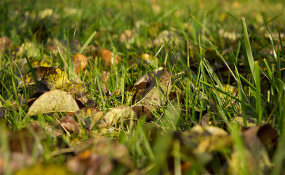 Similar image 878186