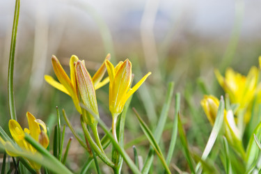 Similar image 878190