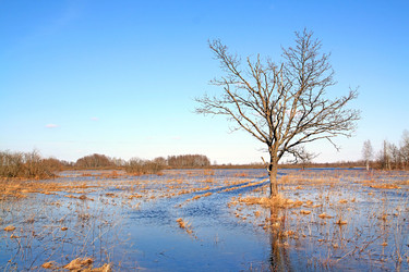 Similar image 878202