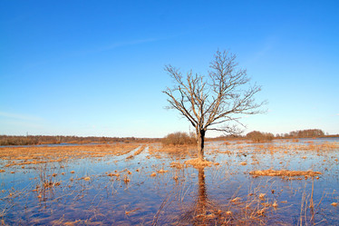 Similar image 878203