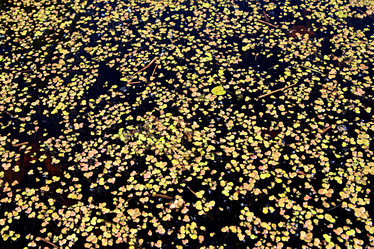 Similar image 878221