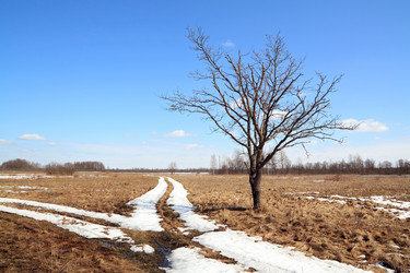 Similar image 878222