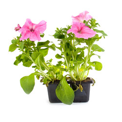 Similar image 878223