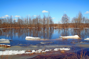 Similar image 878230