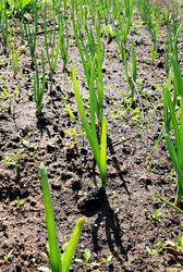 Similar image 878235