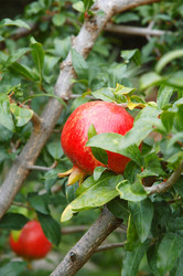 Similar image 878236