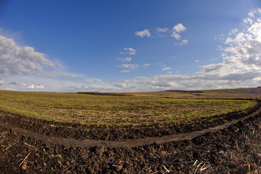 Similar image 878238