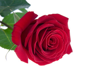 Similar image 878247