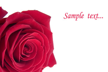 Similar image 878248