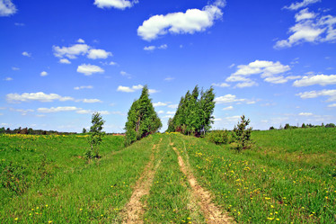 Similar image 878250