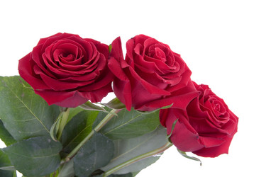 Similar image 878251