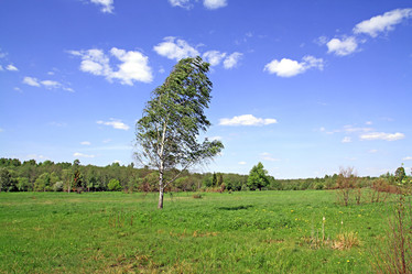 Similar image 878256