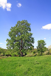 Similar image 878269