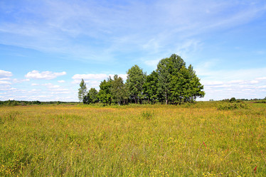 Similar image 878272