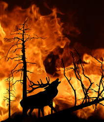 Similar image 878288